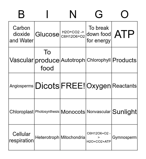 Photosynthesis/Cellular Respiration Bingo Card