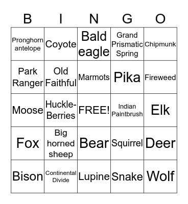 Yellowstone 2014 Bingo Card