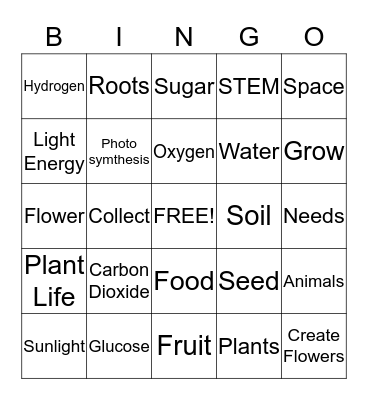 Photosynthesis By Keila Mower Bingo Card
