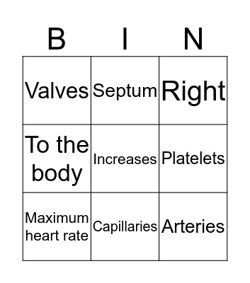 Cardiovascular System Bingo Card