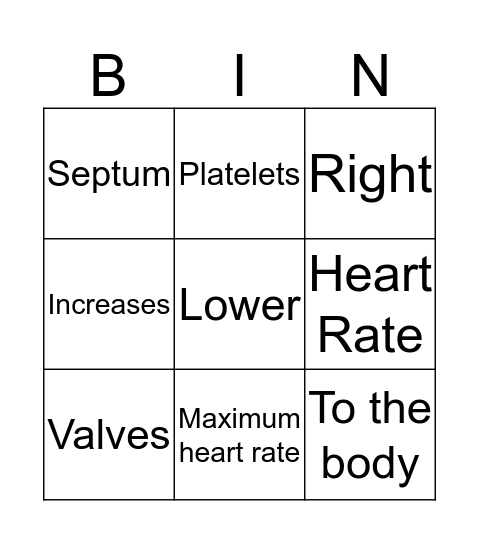 Cardiovascular System Bingo Card