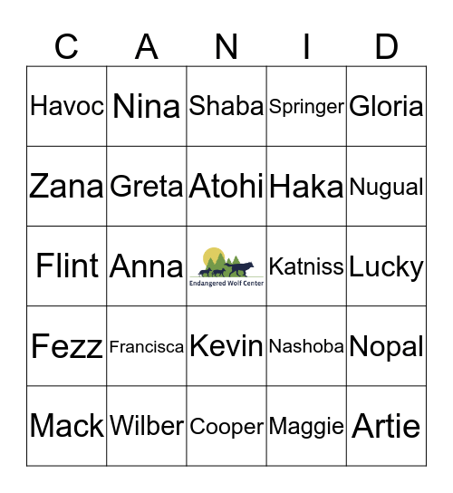 Endangered Wolf Center Bingo Card