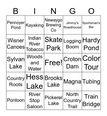 Newaygo Things! Bingo Card