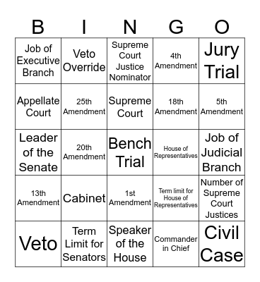 Checks and Balances Bingo Card
