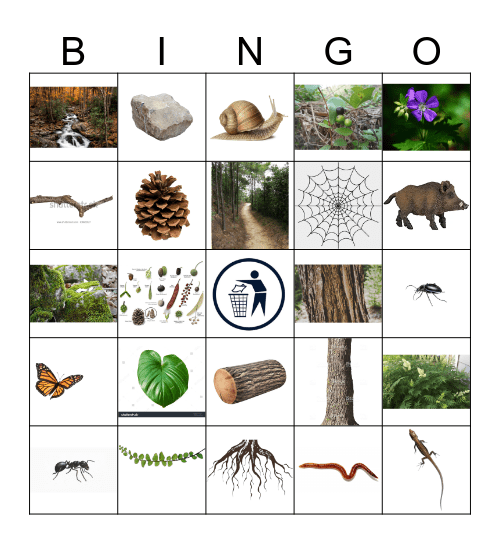 FOREST BINGO Card