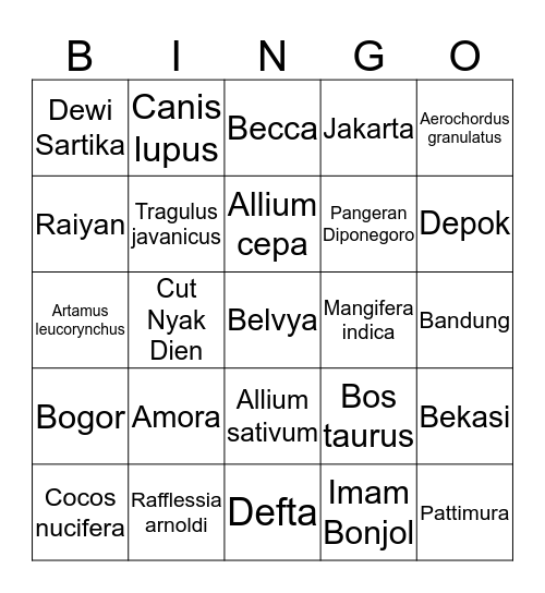 Belvya Bingo Card