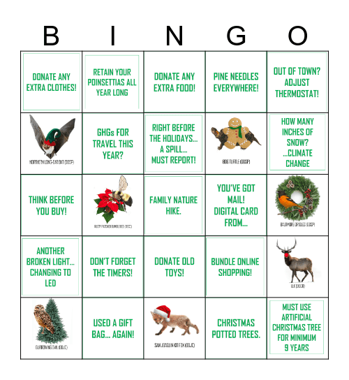 ENVIRONMENTAL HOLIDAY Bingo Card