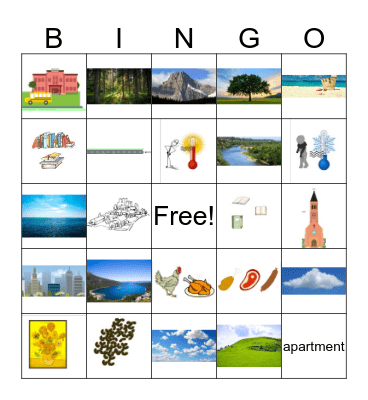 Nature & Neighborhood Bingo Card