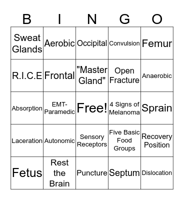 Final Exam  Bingo Card