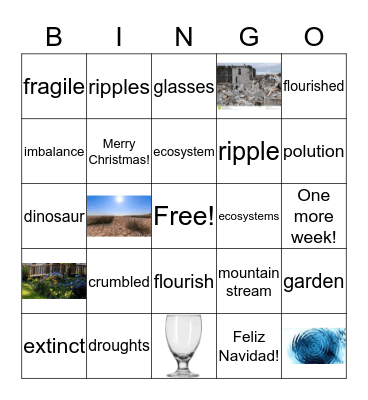 4th Unit 2 Week 3 Bingo Card