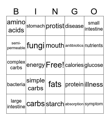 Science Review Bingo Card