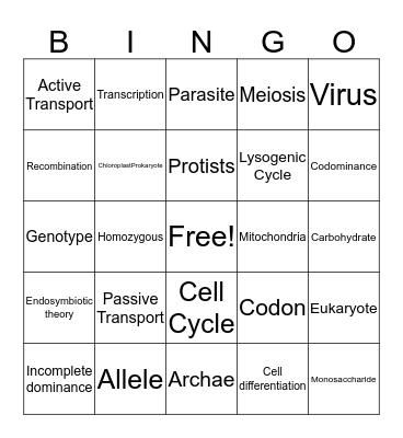 Biology Midterm Bingo Card