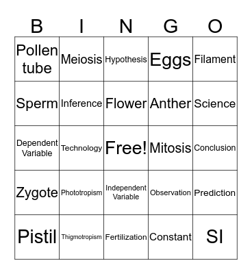 Fall Finals Bingo Card