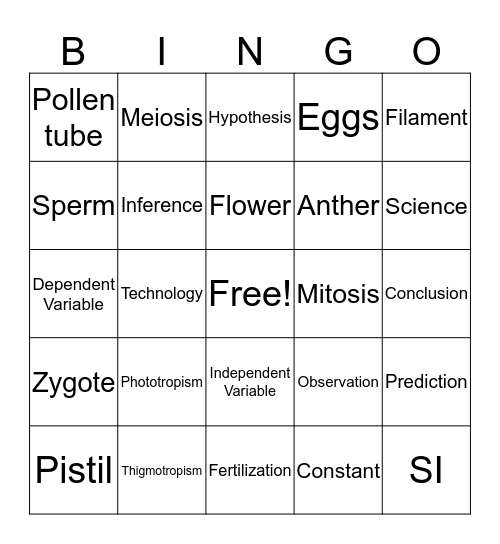 Fall Finals Bingo Card