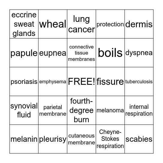 AP MOD. I-Exam 5 Bingo Card