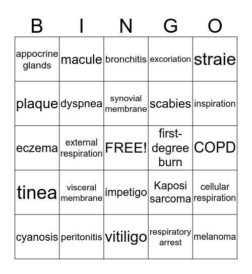 AP MOD. II-Exam 3 Bingo Card