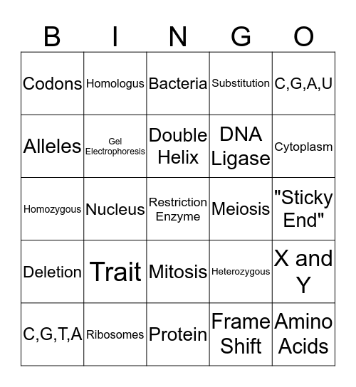 Genetics: Vocab Review for Test Bingo Card