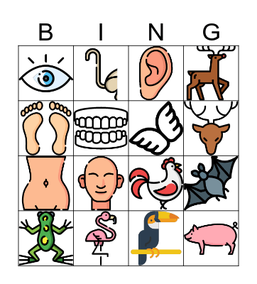 the animals and body parts Bingo Card
