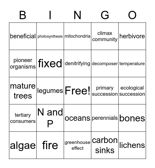 Chapter 5: How Ecosystems Work Bingo Card