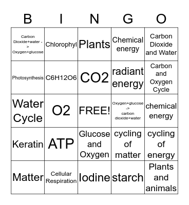 Unit 4 review Bingo Card