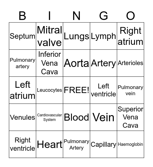 circulatory System Bingo Card