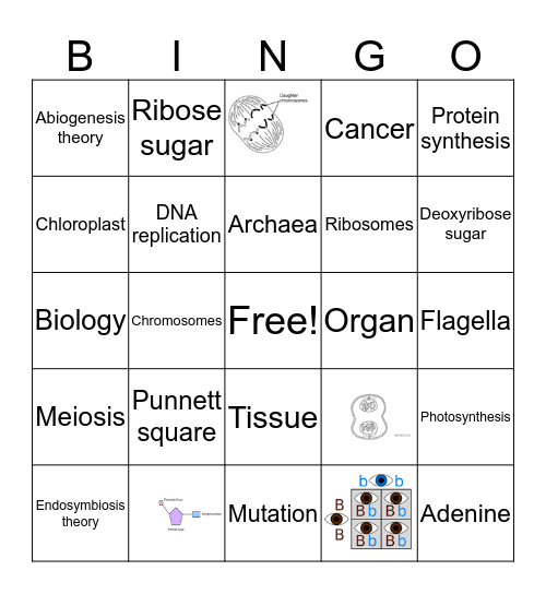 Vocabulary Bingo Card