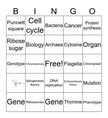 Vocabulary Bingo Card