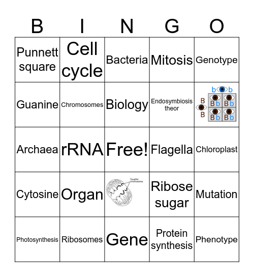 Vocabulary Bingo Card