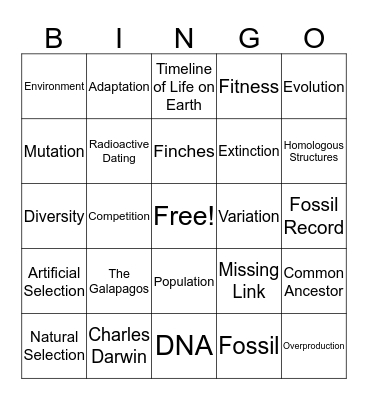 Evolution Bingo Card
