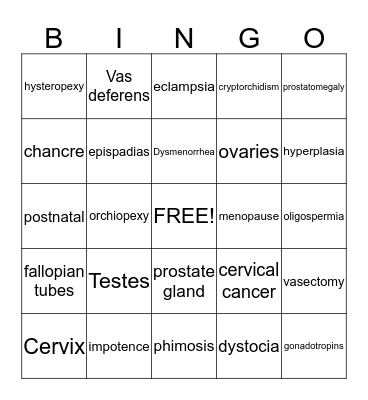 Reproductive System Medical Terminology Bingo Card