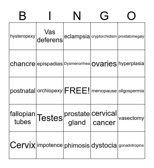 Reproductive System Medical Terminology Bingo Card
