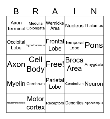 Brain Bingo! Bingo Card