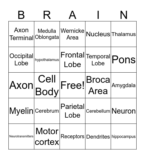 Brain Bingo! Bingo Card