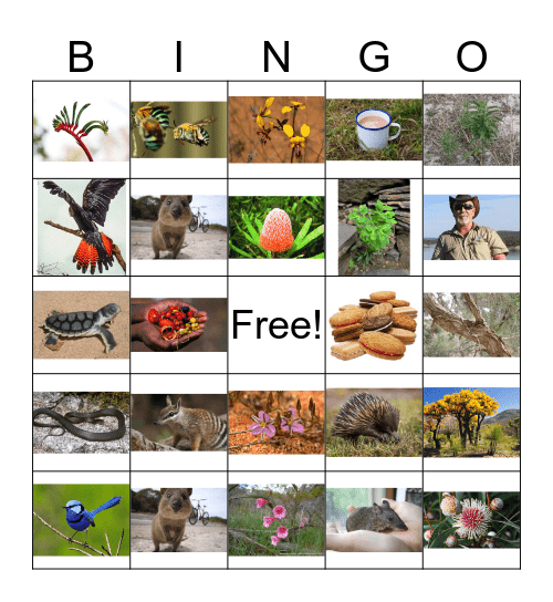 Perth conservation bingo Card