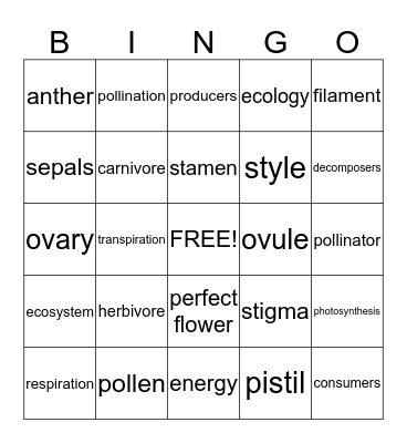 Parts of the Flower Bingo Card