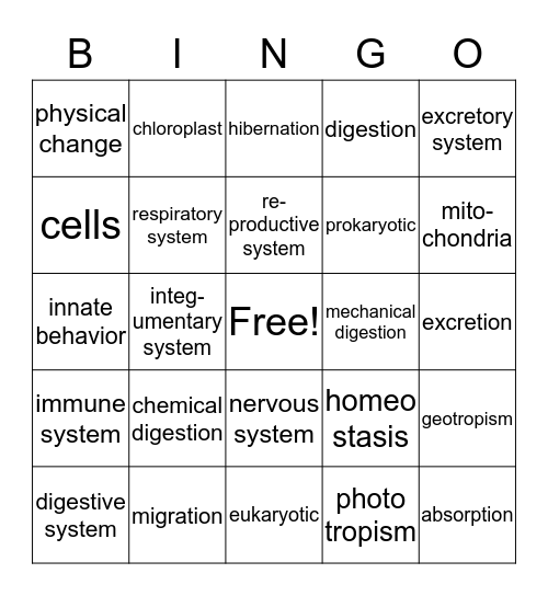 First Semester Exam Review Bingo Card