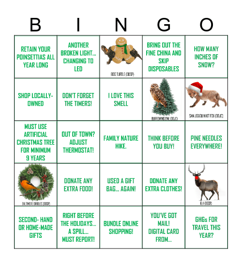 ENVIRONMENTAL HOLIDAY Bingo Card