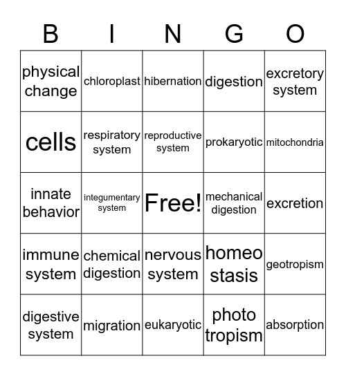 First Semester Exam Review Bingo Card