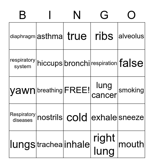 Respiratory System Game Bingo Card