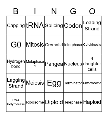 DOGMA Bingo Card