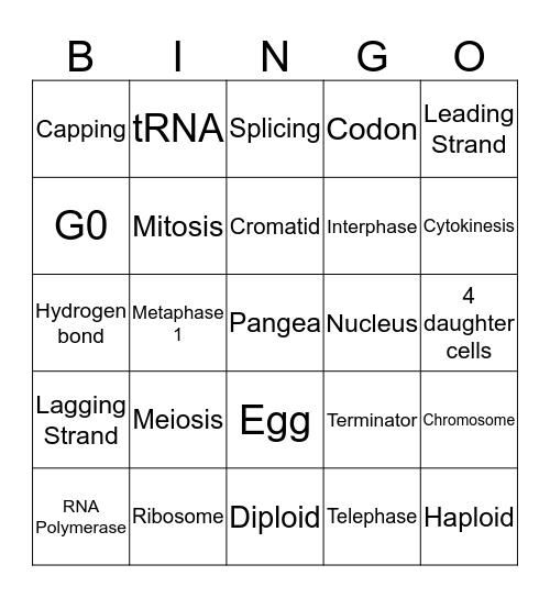 DOGMA Bingo Card