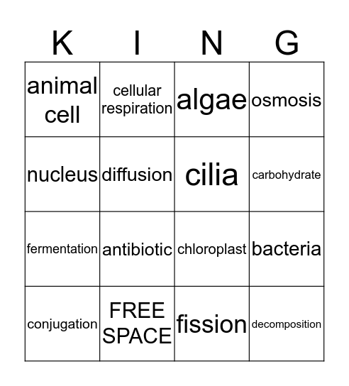Kingdoms Bingo Card
