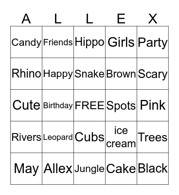 Happy Birthday  Bingo Card
