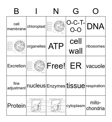 Cells Bingo Card