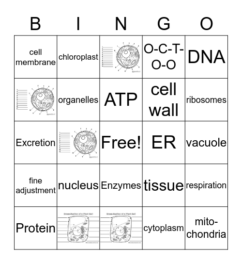 Cells Bingo Card