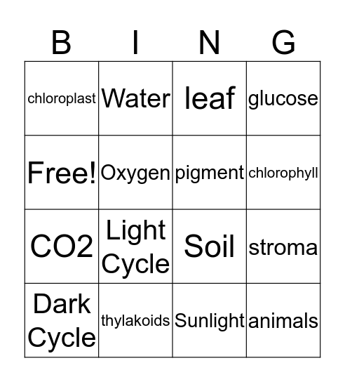 Photosynthesis Bingo Card