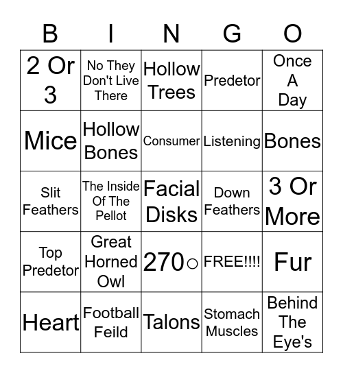 Owl bingo Card