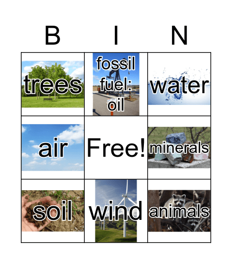 Natural Resources  Bingo Card