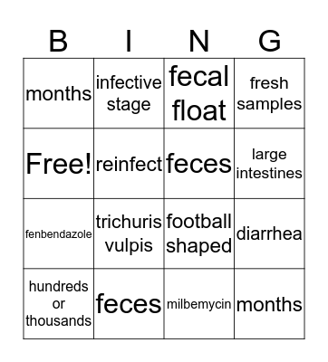 Whipworm Bingo Card