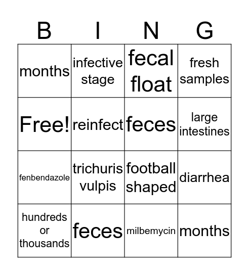Whipworm Bingo Card